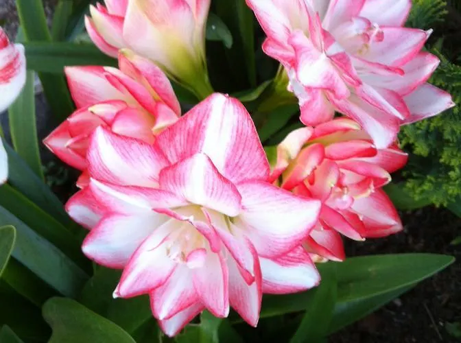 ホテル エメイ 3*